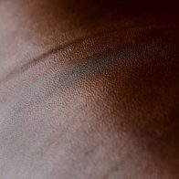 Fauteuil à oreilles cuir WINSTON capitonné - Marron foncé (E1)